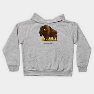 Might Be Chilly Buffalo New York 716 Bison Kids Hoodie